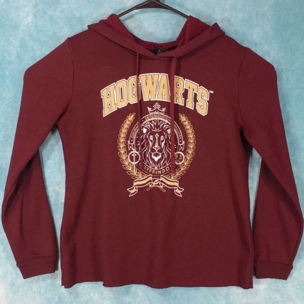 Harry Potter Wizarding World Hogwarts Long Sleeve Pullover Hoodie, Size Medium